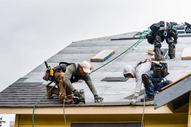 Professional Gutter Installation technician working in Ennis, TX